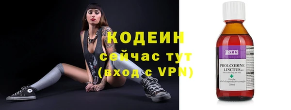 прущий лед Краснослободск