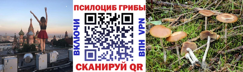 Псилоцибиновые грибы MAGIC MUSHROOMS  Кукмор 