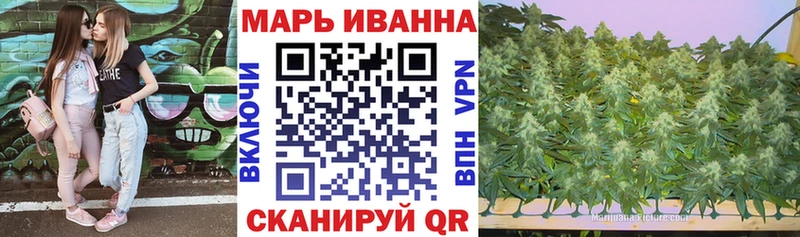 МАРИХУАНА семена  где купить   Кукмор 